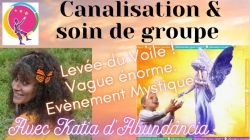 Canalisation Levée du Voile !