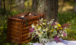 quinoxe de printemps en Brocliande